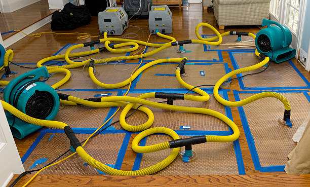 Professional Crawl Space Water Removal technician working in Lindsey, OH